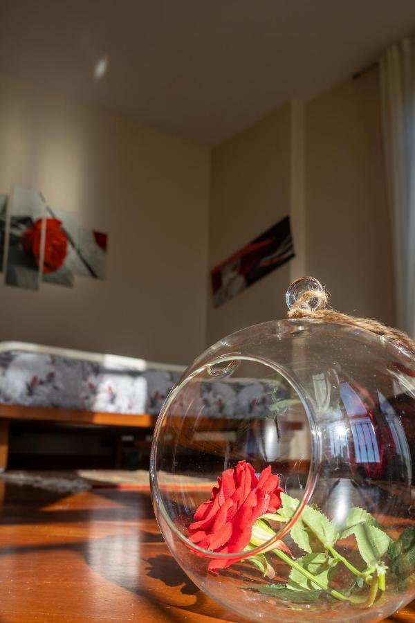 Ferienhaus Bottera With Jacuzzi In The Garden Cuneo Langhe Piemonte
